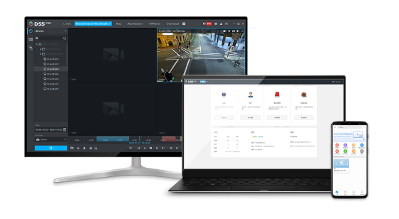 DHI-DSSPro-Base-License