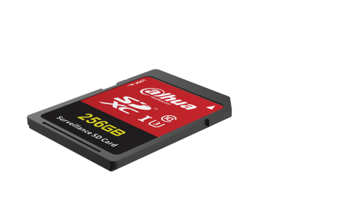 DHI-SD-H100-256GB