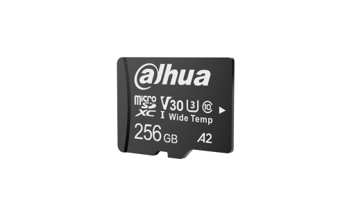 DHI-TF-W100-256GB