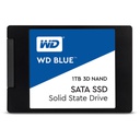 WDS100T2B0A
