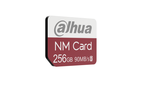 DHI-NM-N100-256GBO01F01