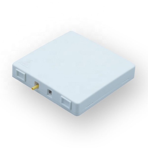 Fiber Box 12port