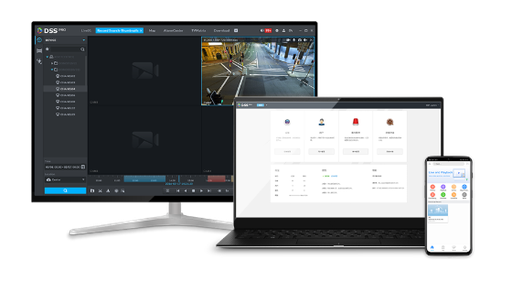 DHI-DSSPro-Base-License